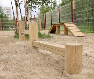 Площадка для собак в парке "Дружба", Новый Уренгой