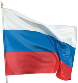 Государственный флаг РФ 240*140